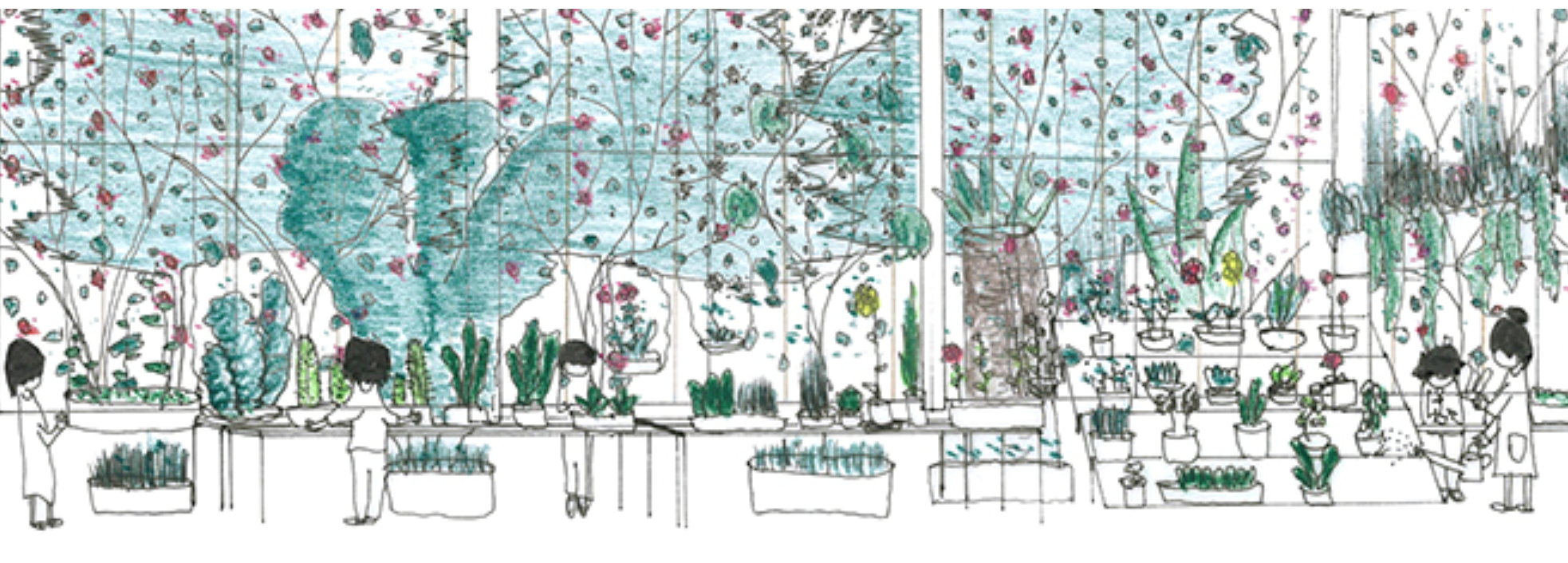 Biophilic Design in Educational Environments